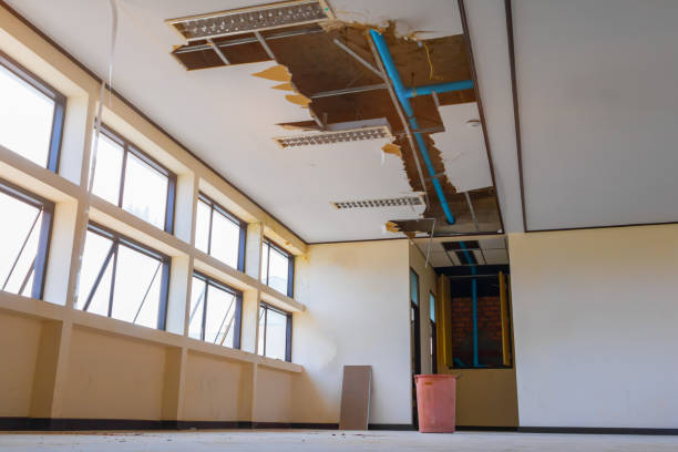 Best Water damage restoration near me  in Nashwauk, MN