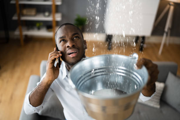 Best Water damage contractors near me  in Nashwauk, MN