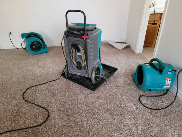 Best 24-hour water damage restoration  in Nashwauk, MN