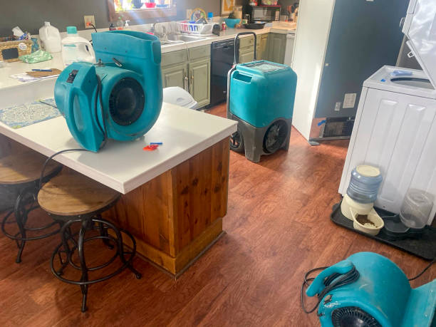 Best Basement water damage restoration  in Nashwauk, MN