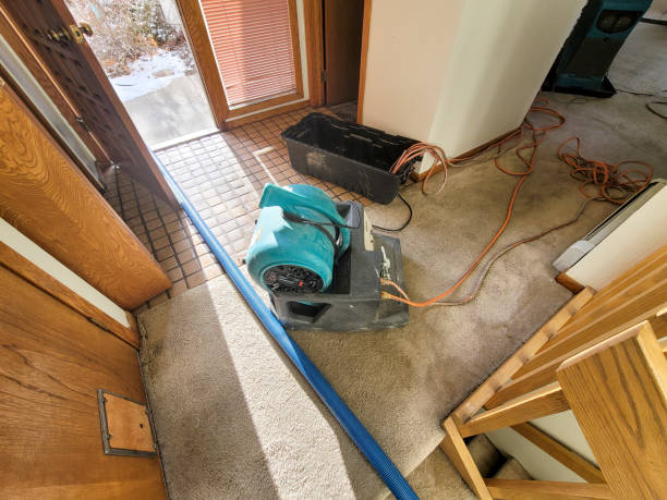 Best Water damage cleanup near me  in Nashwauk, MN