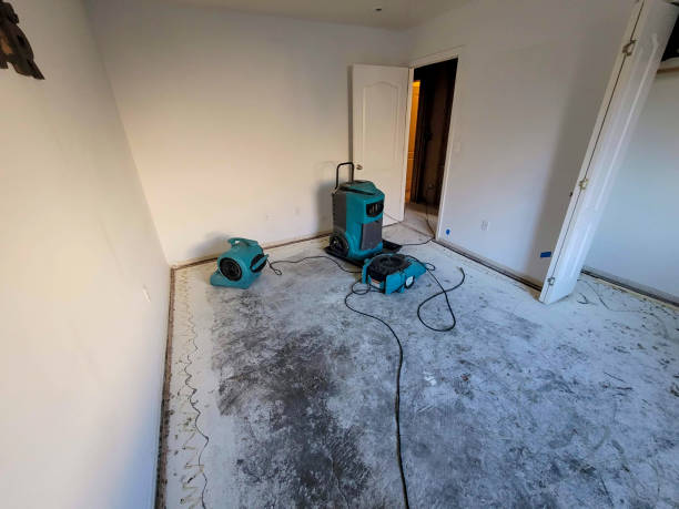 Best Water damage restoration cost  in Nashwauk, MN