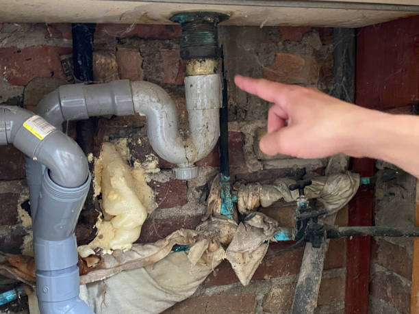 Best Water damage restoration near me  in Nashwauk, MN