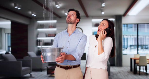  Nashwauk, MN Water damage restoration Pros