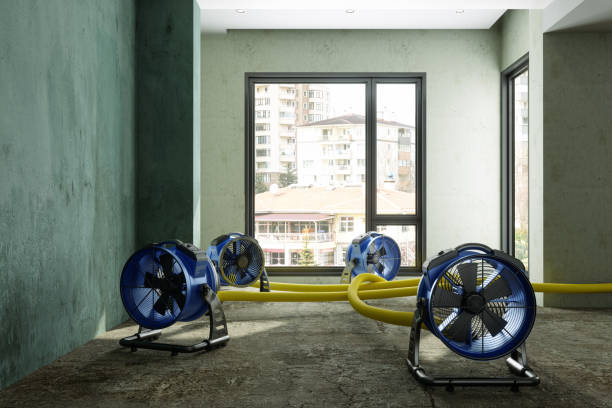 Best Fire Damage Restoration  in Nashwauk, MN